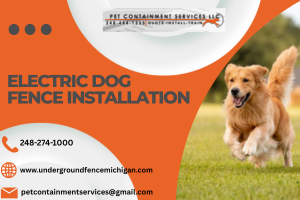 Electric Dog Fence Installation