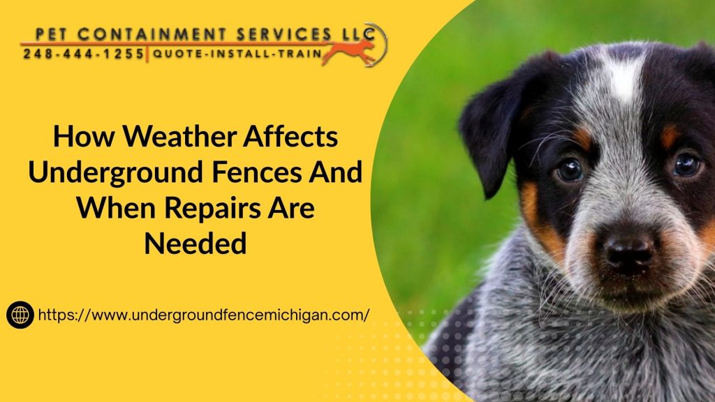 underground fence repair