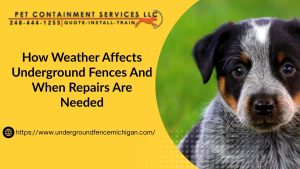 underground fence repair